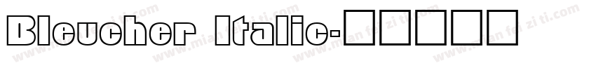 Bleucher Italic字体转换